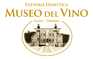 Logo Museo Del vino