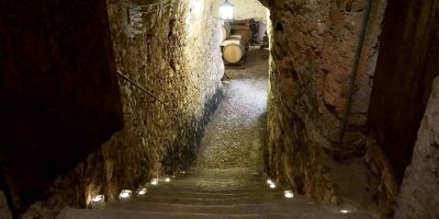 museo del vino verona villa canestrari sotterraneo