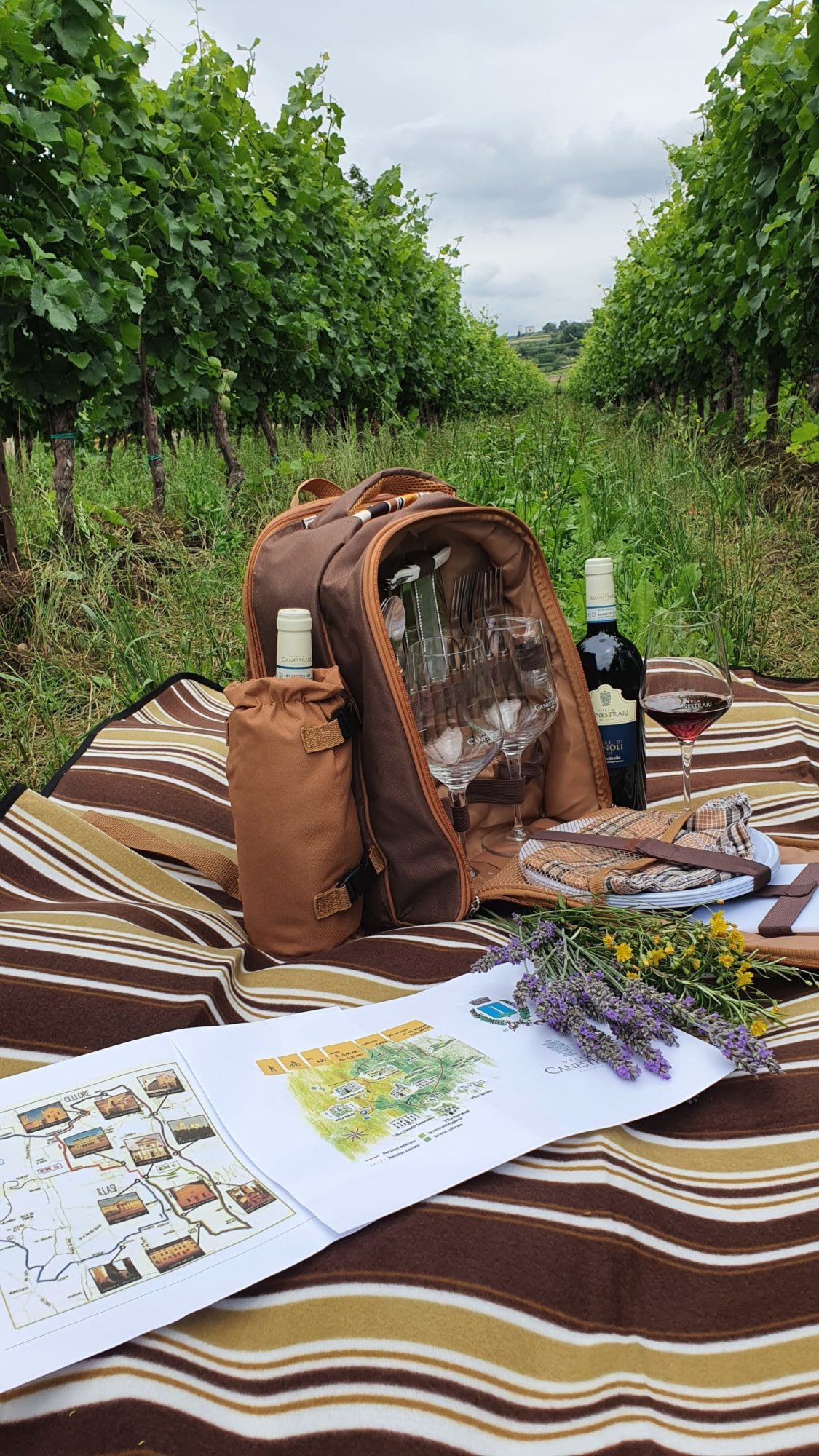 Trekking & Picnic in the Vineyards – Summer 2020